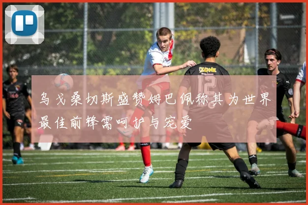 乌戈桑切斯盛赞姆巴佩称其为世界最佳前锋需呵护与宠爱