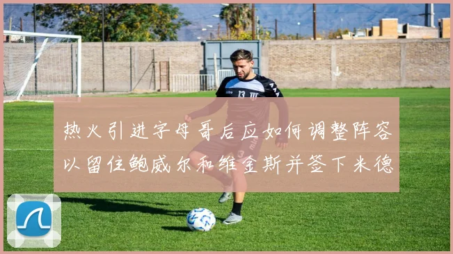 热火引进字母哥后应如何调整阵容以留住鲍威尔和维金斯并签下米德尔顿
