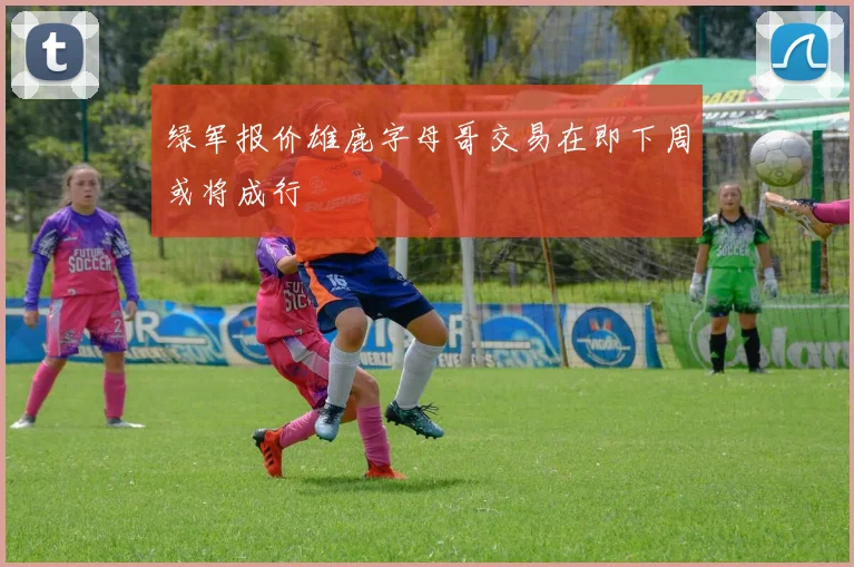 绿军报价雄鹿字母哥交易在即下周或将成行